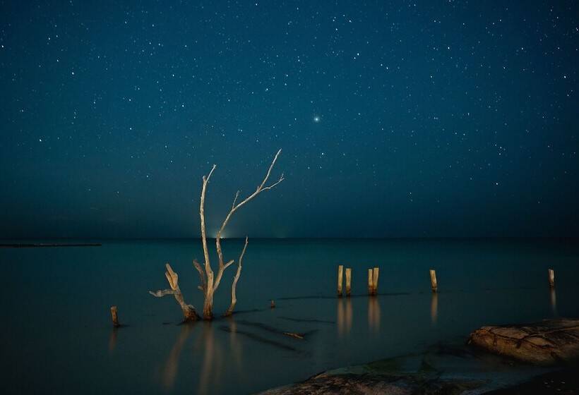 호텔 Nomade Holbox