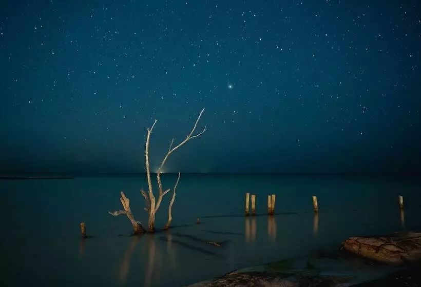 هتل Nomade Holbox