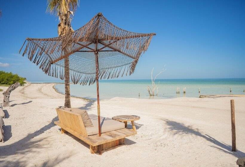 호텔 Nomade Holbox