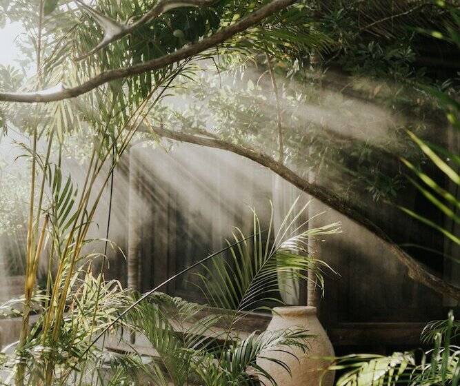 호텔 Nomade Holbox