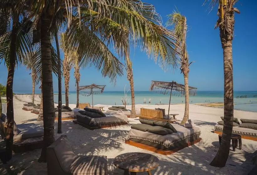 هتل Nomade Holbox