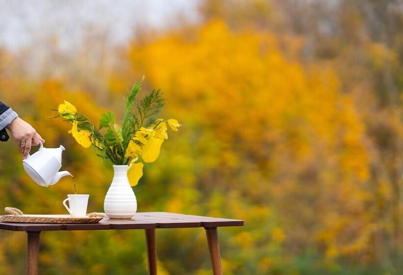 Отель Sapanca View