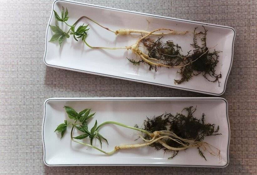 Motel Cheonan Green Hill