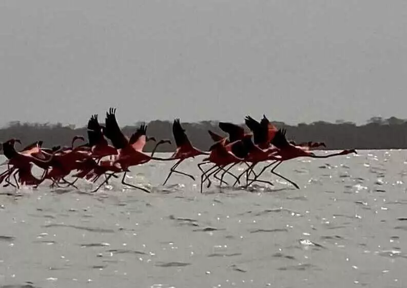 Rch Luxury Hotel & Pool