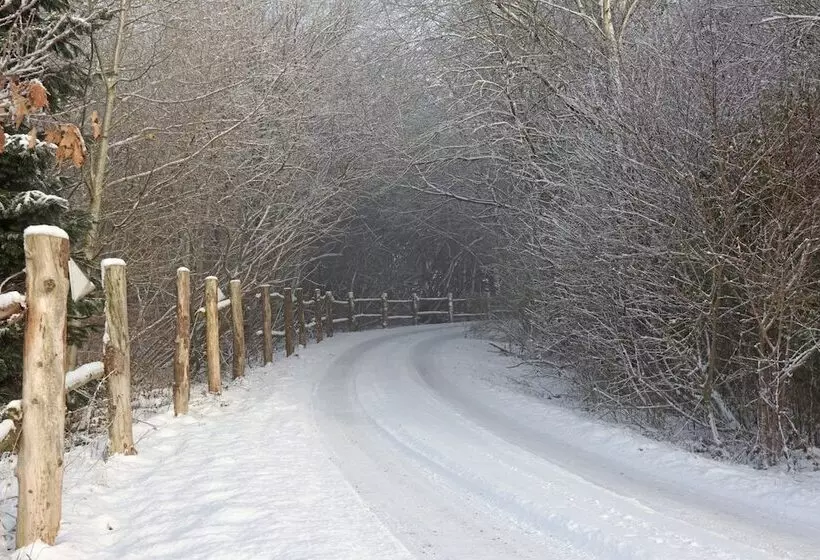 Storms Bed & Breakfast