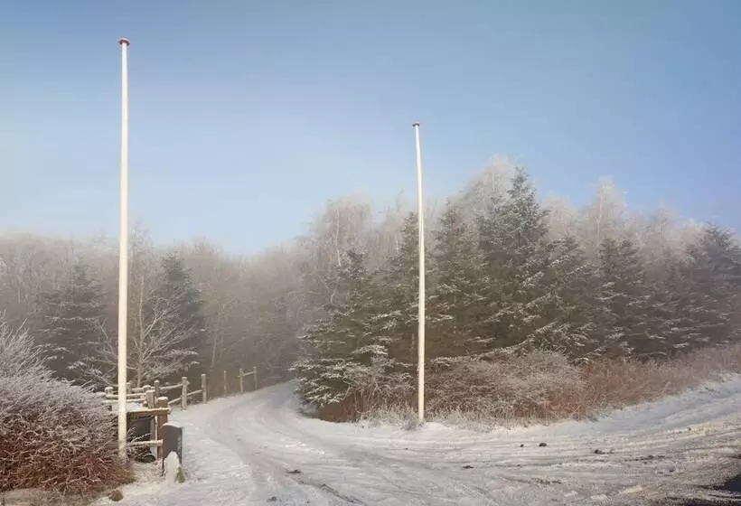 Storms Bed & Breakfast