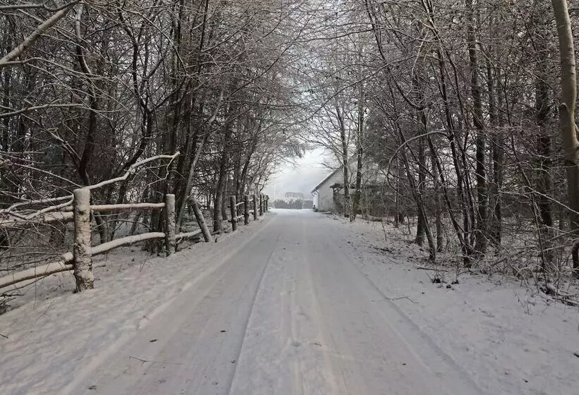 Storms Bed & Breakfast