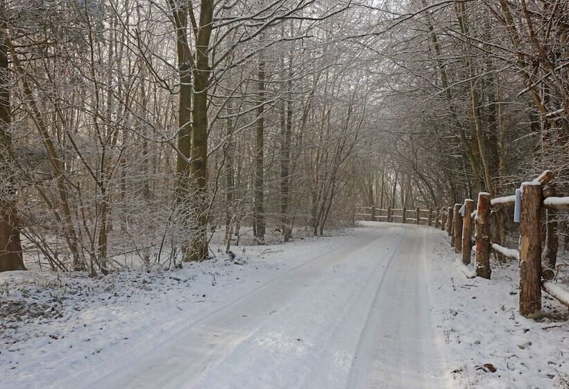 Storms Bed & Breakfast