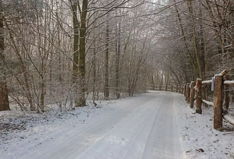 Storms Bed & Breakfast