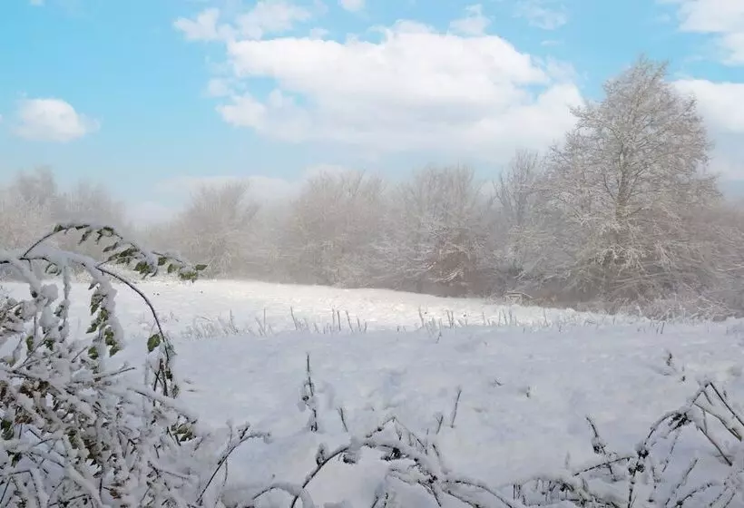 Storms Bed & Breakfast