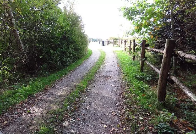 Storms Bed & Breakfast