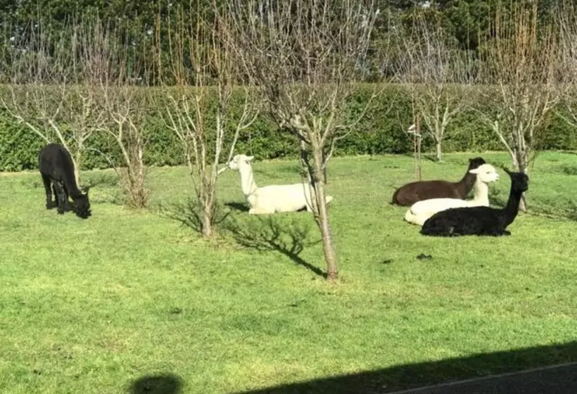 Aamiaismajoitus (B&B) Chateau Pritchard