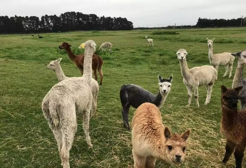 Aamiaismajoitus (B&B) Chateau Pritchard