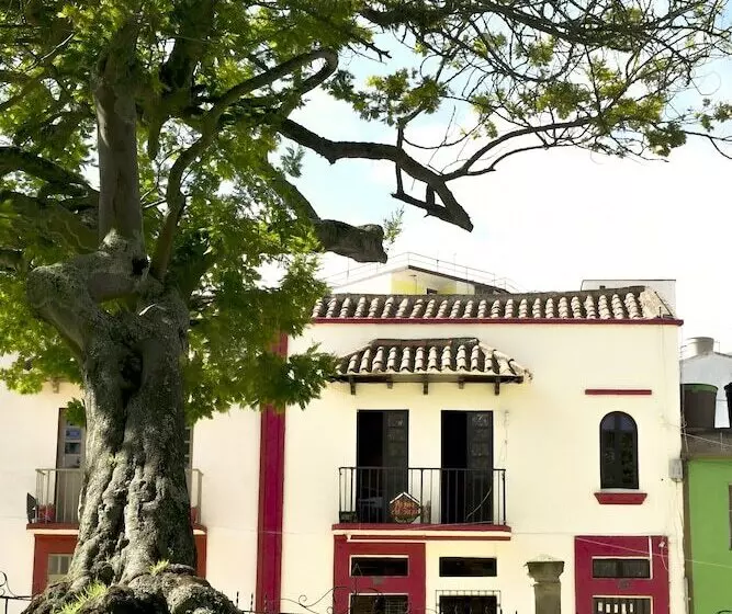 ホテル Aroma Del Bosque Posada Cafe