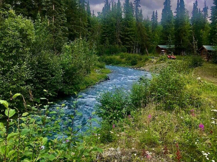 Hotel Carlo Creek Cabins
