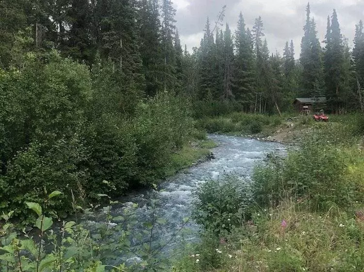 Hotelli Carlo Creek Cabins