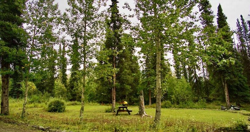 Hotel Carlo Creek Cabins