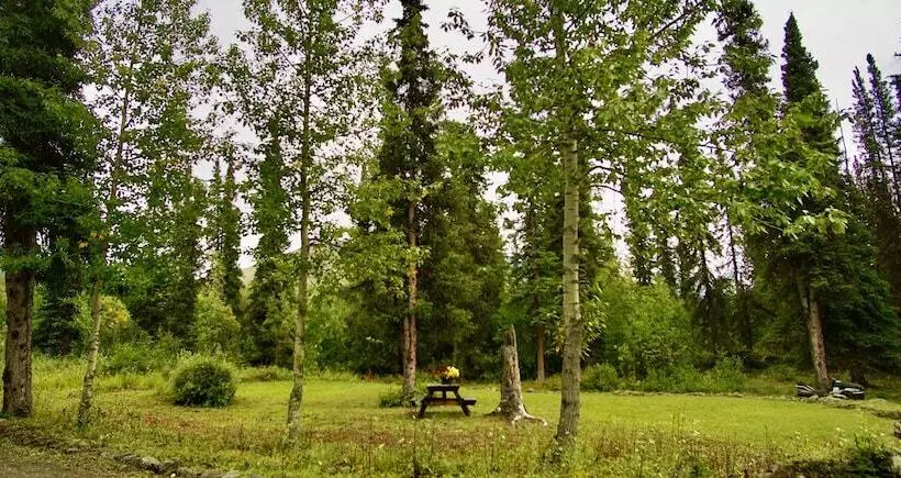 Hotelli Carlo Creek Cabins