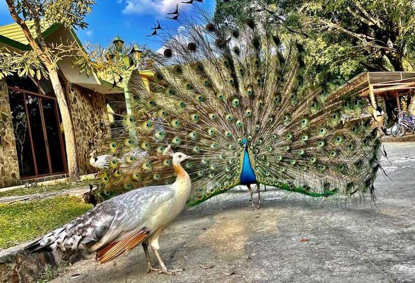 فندق Entre Pinos