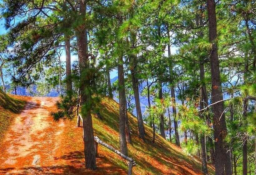 فندق Entre Pinos