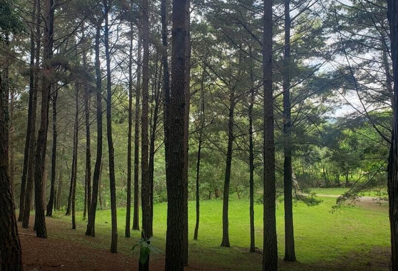 فندق Entre Pinos