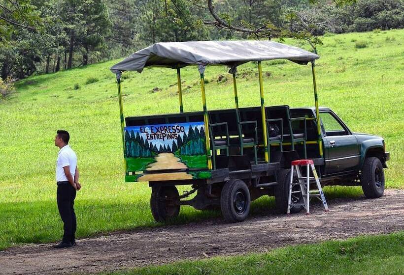 فندق Entre Pinos