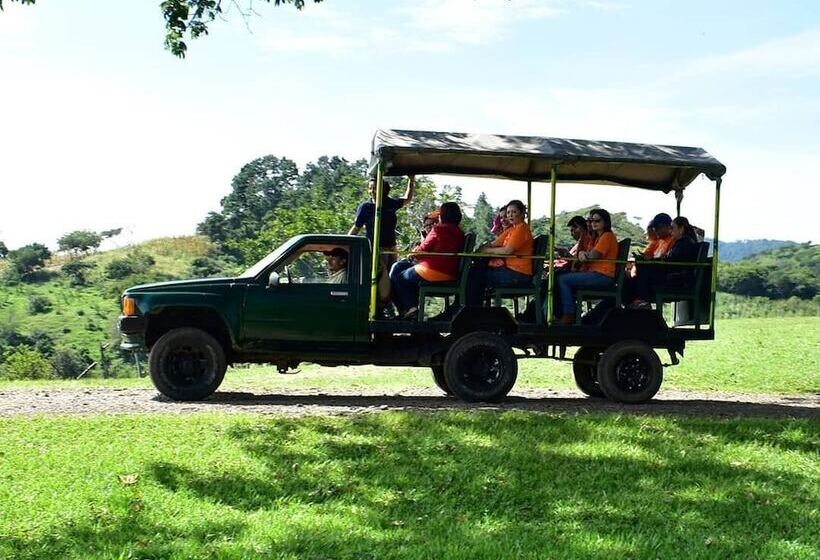 فندق Entre Pinos