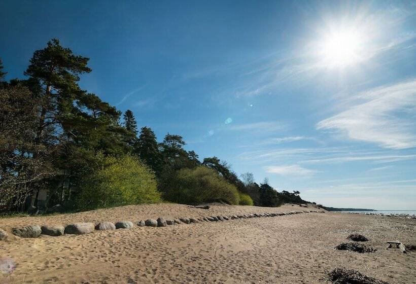 Отель Pervaya Liniya. Health Care Resort