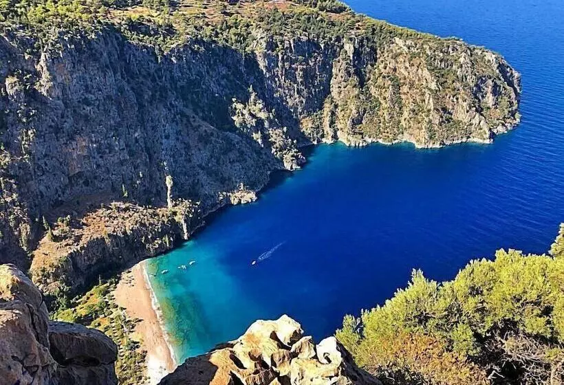 ホテル Zehra Residence Apart