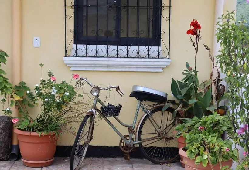 پانسیون Casa Quetzalli, La Recolección
