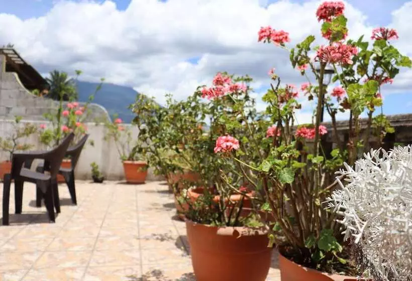 پانسیون Casa Quetzalli, La Recolección