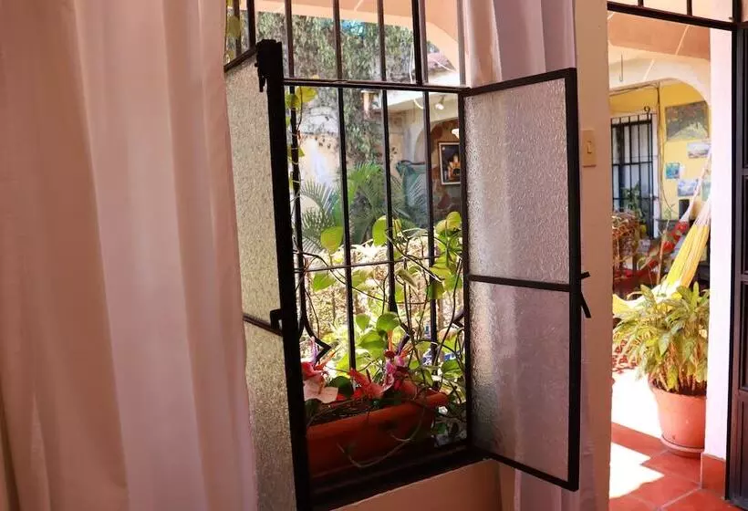 پانسیون Casa Quetzalli, La Recolección