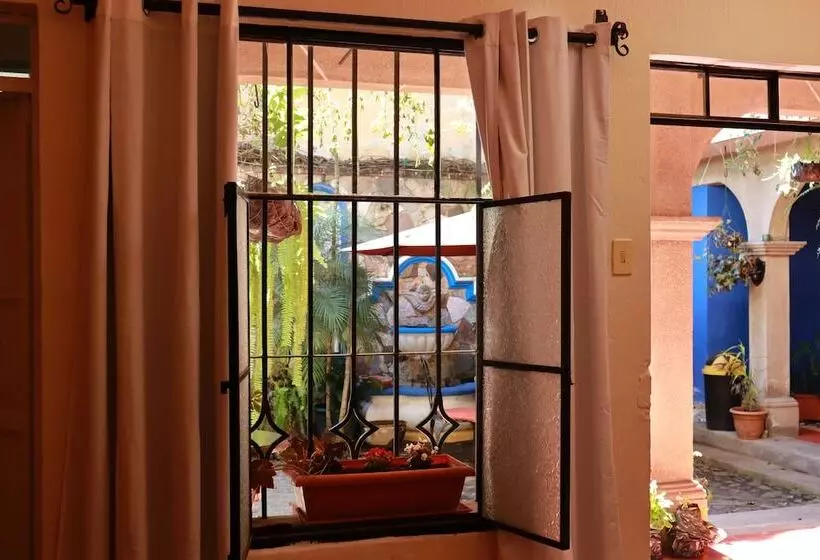 پانسیون Casa Quetzalli, La Recolección