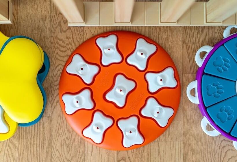 פנסיון Gapyeong Ddobagi Pet & Spa Glamping