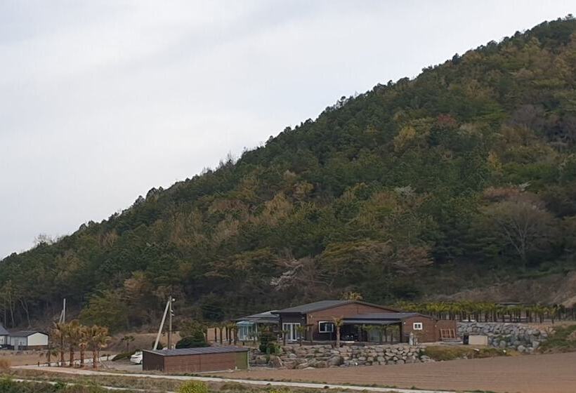 بنسيون Jindo Brown Guest House