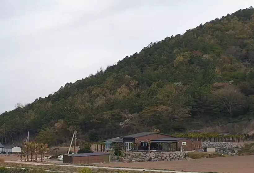 ペンション Jindo Brown Guest House