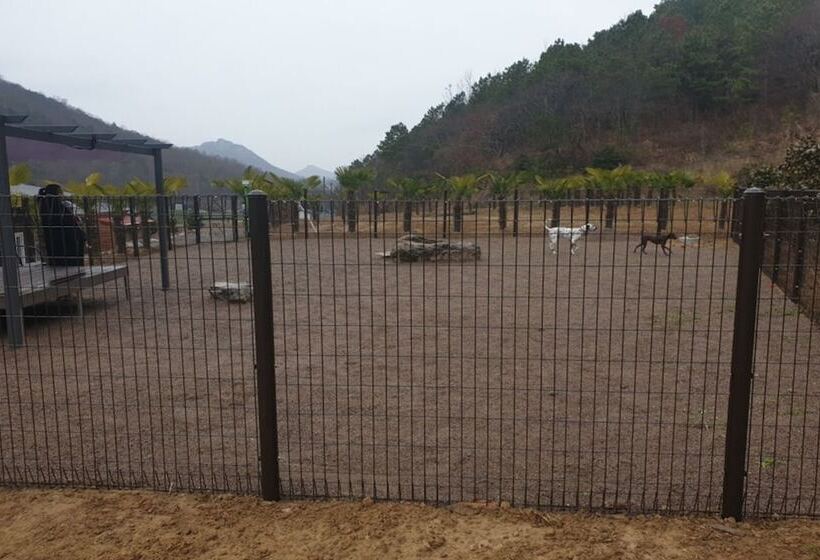 بنسيون Jindo Brown Guest House