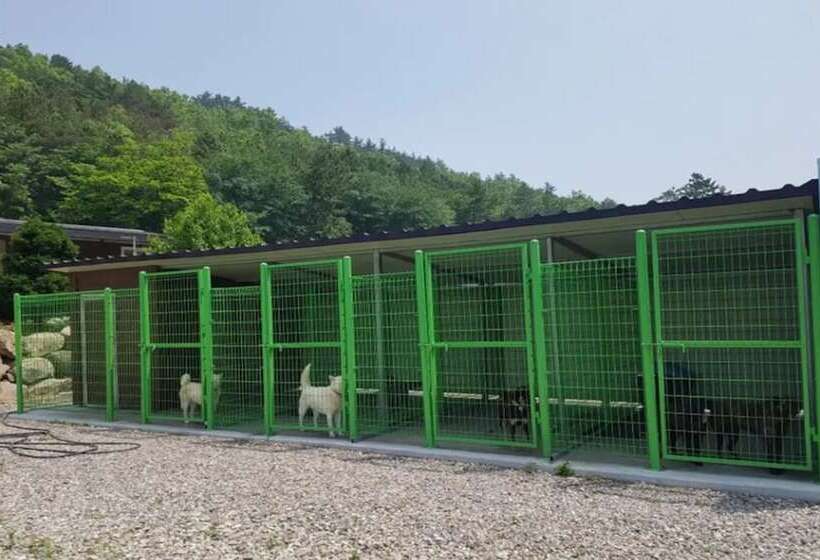 بنسيون Jindo Brown Guest House