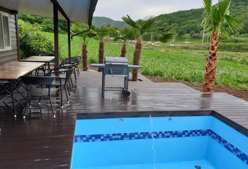 بنسيون Jindo Brown Guest House