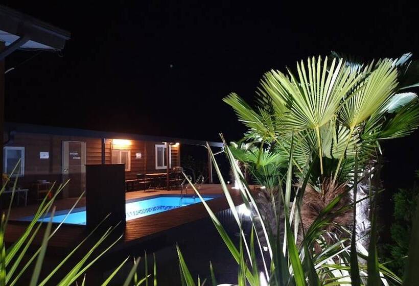 بنسيون Jindo Brown Guest House