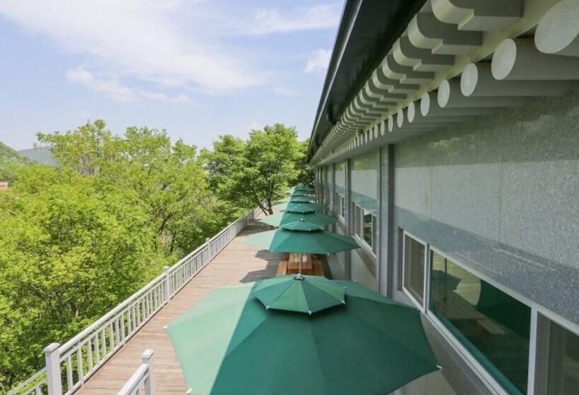 Seongju Gaya Hwangto Pension