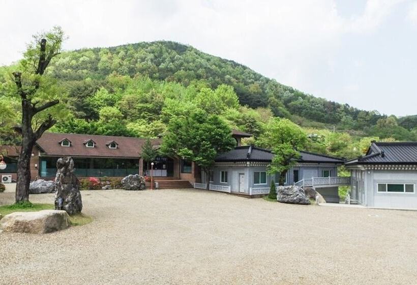Seongju Gaya Hwangto Pension
