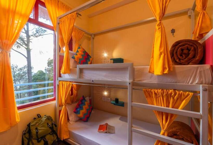 Общежитие Gostops Kasar Devi