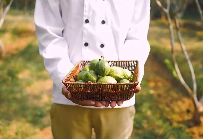 Anantvan Ranthambore By Asapian Hotels