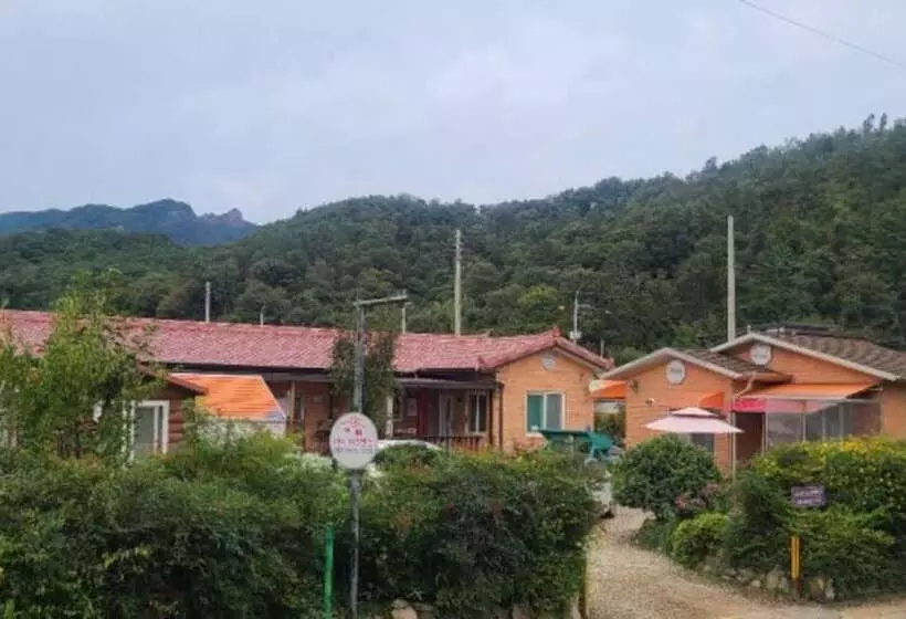 Damyang Lara 345 Pension