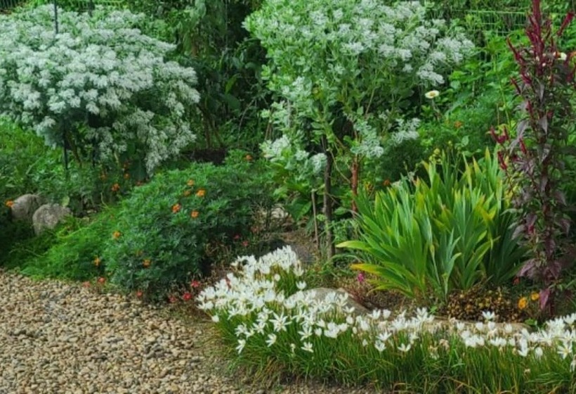 Damyang Lara 345 Pension