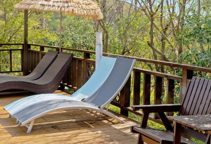 Damyang Petit Cadeau Pension