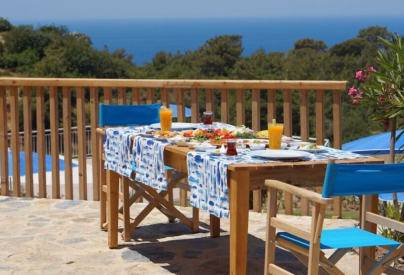 Отель Faralya Tuz