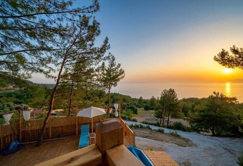 Отель Faralya Tuz