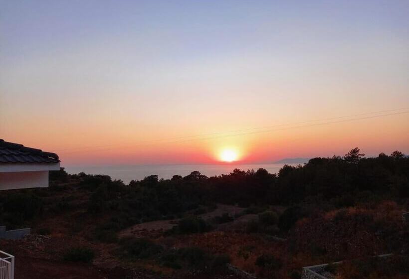 Отель Faralya Tuz